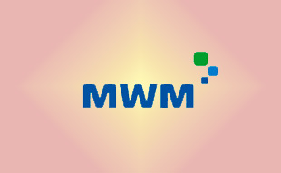 ✓ MWM 0335 2323 Запчасть MWM 